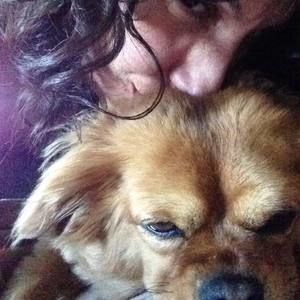 Meet your Posher, Polet