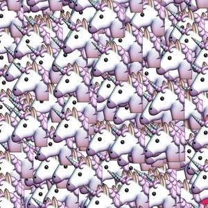 Meet your Posher, Ana