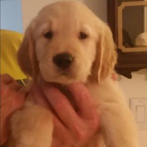 Meet your Posher, Alessandra