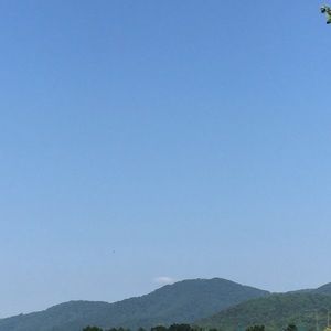 Meet your Posher, Aimee