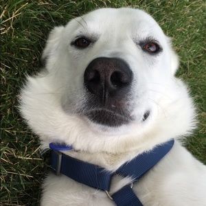 Meet your Posher, Marissa