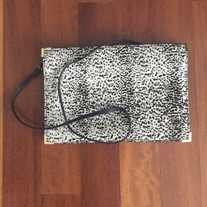 Zara Crossbody/ Clutch