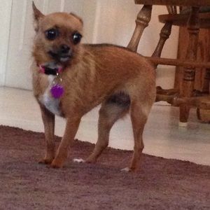 Meet your Posher, Julia