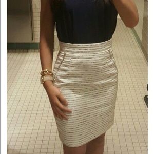 Pencil Skirt