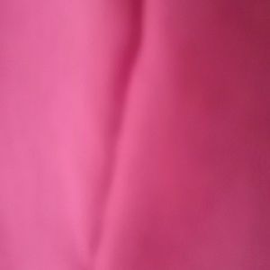 Meet your Posher, Evelyn