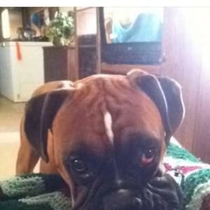 Meet your Posher, Kristi