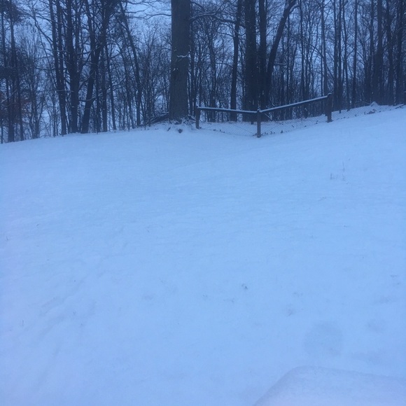 Meet Your Posher! - Picture 3 of 3