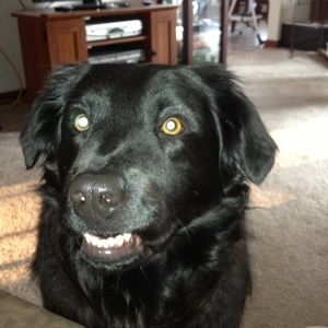 Meet your Posher, Cindy