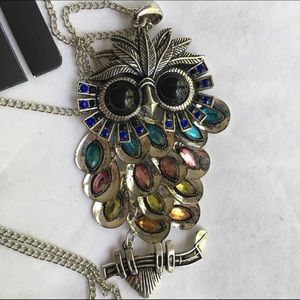 Owl Embellished Necklace NWT