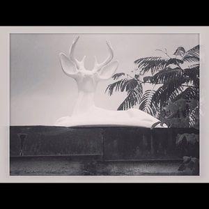 Meet your Posher, Colby