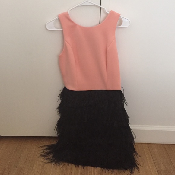 Slate and Willow open back feather dress