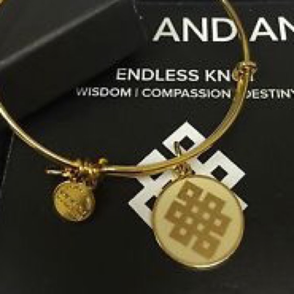 Alex & Ani RETIRED Endless Knot bracelet - Picture 1 of 3