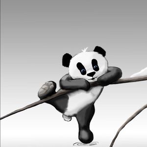 Meet your Posher, Kylee