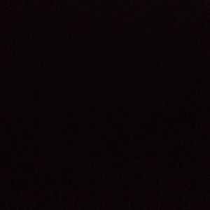 Meet your Posher, Abigail