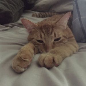 Meet your Posher, Marcy