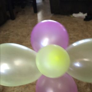 Meet your Posher, Sandy