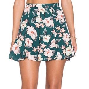 Show Me Your Mumu Skater Skirt