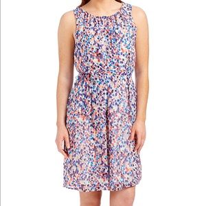 Shelby and Palmer dress