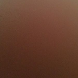 Meet your Posher, Althea