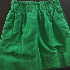 Jcrew skirt