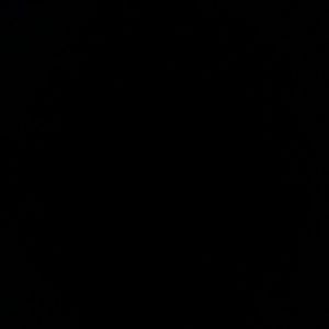 Meet your Posher, Lexi