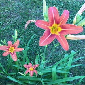 Meet your Posher, Kim