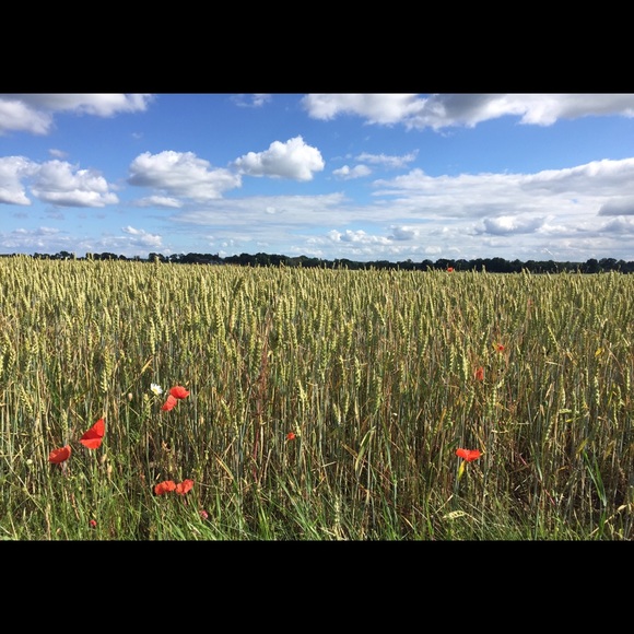 Meet your Posher, Kristin