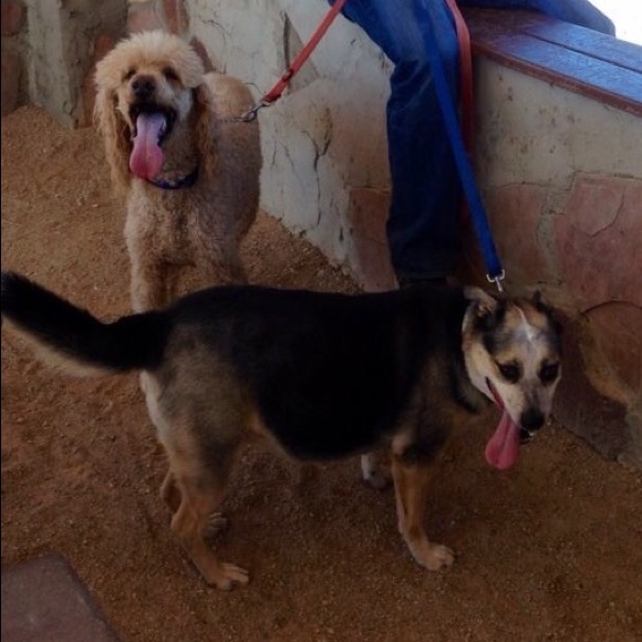 Meet your Posher, Meredith - Picture 1 of 1