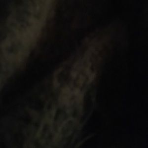 Meet your Posher, Haleigh