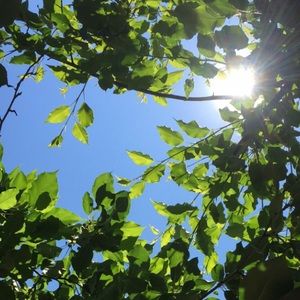 Meet your Posher, Yuki