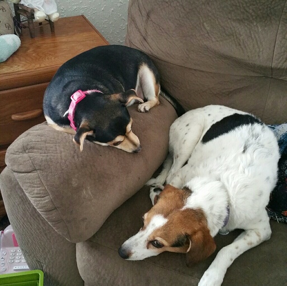 Meet your Posher, Margie - Picture 3 of 8