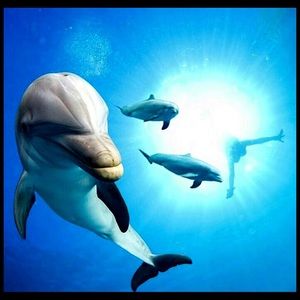 Meet your Posher, Dani