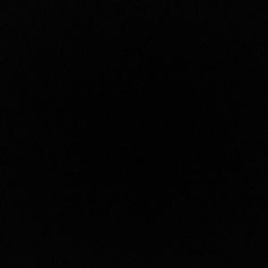 Meet your Posher, Cecilia