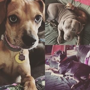 Meet your Posher, Amanda