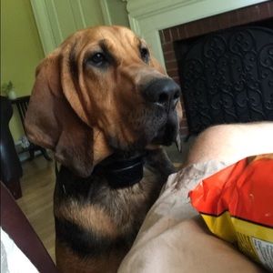 Meet your Posher, Max