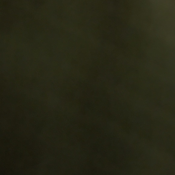 Meet your Posher, Laila - Picture 1 of 1