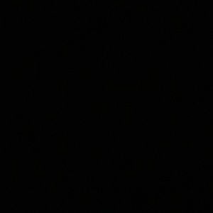 Meet your Posher, Eva