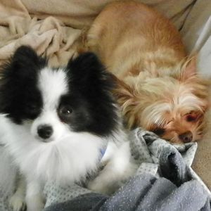 Meet your Posher, Kathy