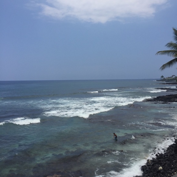 Meet your Posher, Danielle - Picture 1 of 1