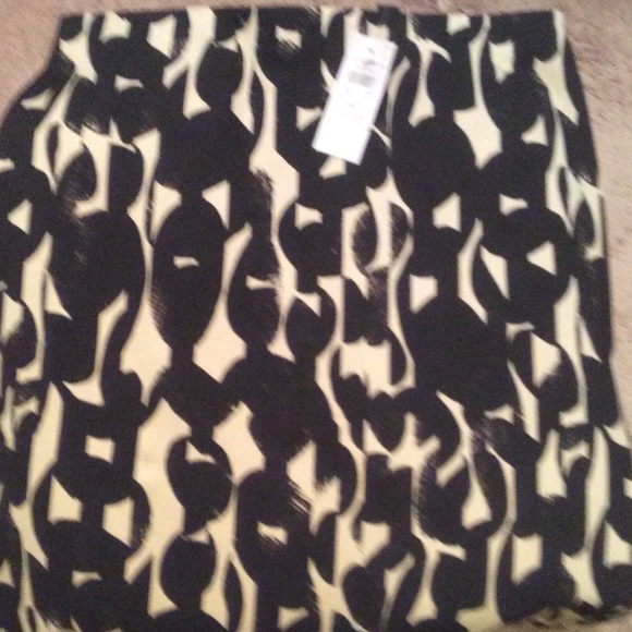 Ann Taylor pencil skirt