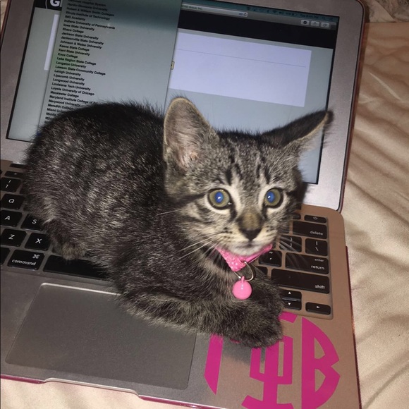 About Your Seller💕👜💄 - Picture 3 of 4