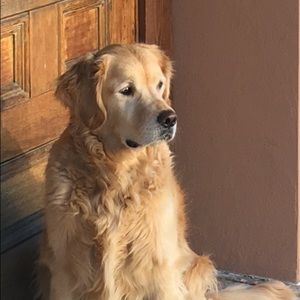 Meet your Posher, Ak