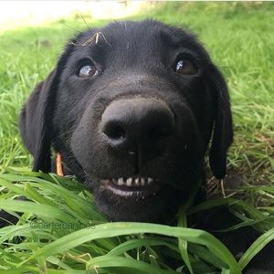 Meet your Posher, Libbey