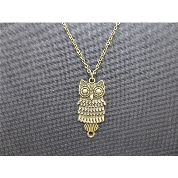 Jewelry - ❤️Bronze Owl Necklace❤️