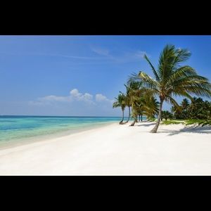 Meet your Posher, Clare