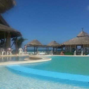 Meet your Posher, Darcie