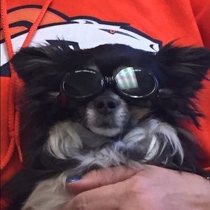 Meet your Posher, Diane