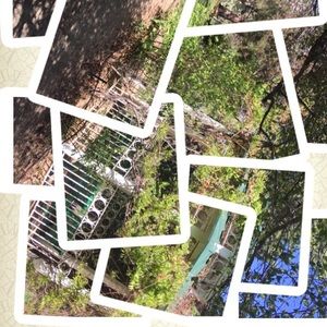 Meet your Posher, Juana