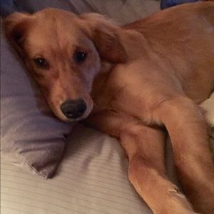 Meet your Posher, Mimy