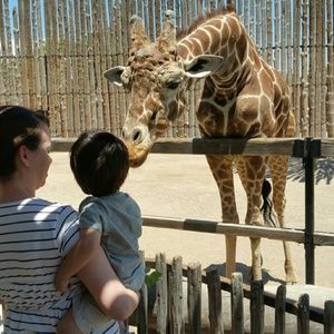 Meet your Posher, Naomi